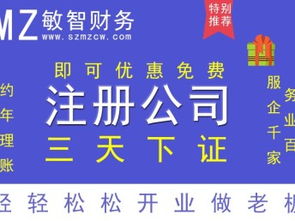 深圳龍崗公司注冊、注銷、變更及一般納稅人申請代辦服務指南